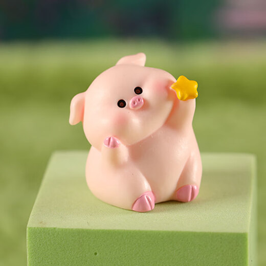 Micro landscape ornaments, succulent ornaments, Sweet Dream Raincoat, Piggy Back School Bag, Cute Animal Ornaments, Car Ornaments, Random One