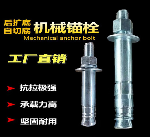 Zhuo Shikun rear bottom expansion mechanical anchor 8.8 expansion screw single and double tube rear cut heavy-duty anchor M10M12M16M20M24 M12X160mm double tube