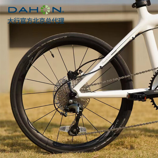 DAHON folding bike 20-inch 10-speed disc brake carbon fiber bicycle ultra-light sports competitive sports car city bicycle ODB005 black and white 20 inches