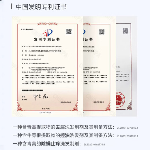 征服（CONQUER）头皮精华素青蒿去屑止痒控油蓬松洗发水生姜养发除螨洗发乳洗发露 生姜强韧护发洗发乳728ml+190ml