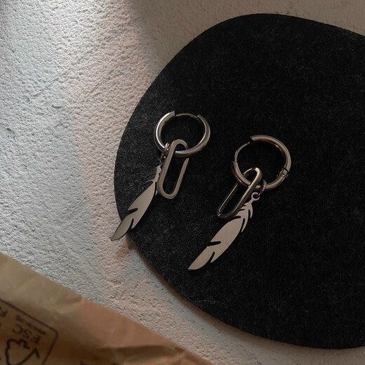 JPHZNB niche design titanium steel feather earrings for women, trendy, cool personality, ins temperament, internet celebrity, handsome earrings, earrings for men, pair