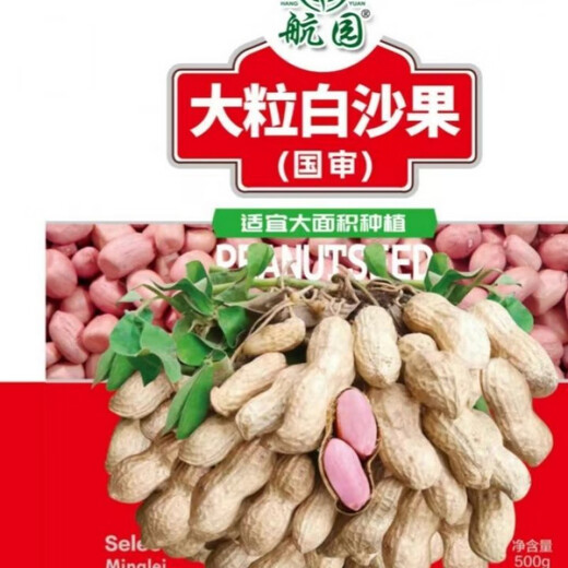 2024 New High Yield Peanut Seeds New Arrivals Peanut Seeds Peanut Original Seeds Academy of Agricultural Sciences Raw Peanuts Shelled Seeds High Yield Peanut Seeds 100% Original Seeds 1-1 In Shell Five Jin Jin is equal to 0.5 kg 2/500 g