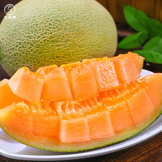 Dayu Hami Melon Seed Seedlings Southern Reticulated Xinjiang Hami Melon Seeds Musk Melon Xiangyang Hami Melon Seeds 100 Fruit Musk Melons