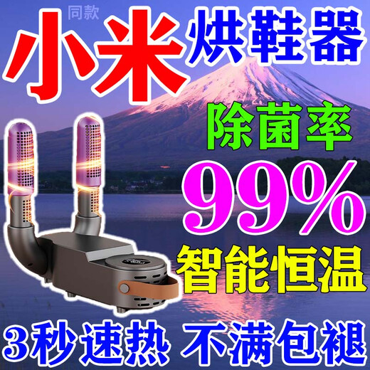 Fully automatic shoe dryer, household sterilization dryer, shoe sterilization and deodorization all-in-one machine, wet and dry, can dry two pairs, new tank - touch screen model, gray, quick drying