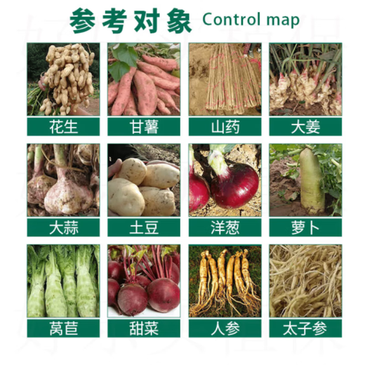 21% Choline Chloride Naphthalene Acetic Acid Underground Rhizome Expansion Agent Peanut Sweet Potato Garlic Pesticide Growth Regulator 500ml