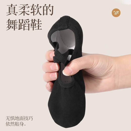 ZHIYOUBAN成人舞蹈鞋芭蕾舞专业练功女软底免系带儿童跳舞男黑色形体猫爪鞋