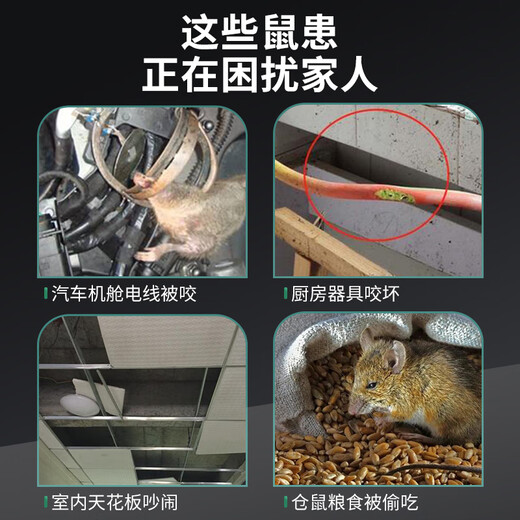 户净老鼠驱赶神器驱鼠丸驱鼠神器汽车发动机驱避赶丸灭鼠一窝端捕神器