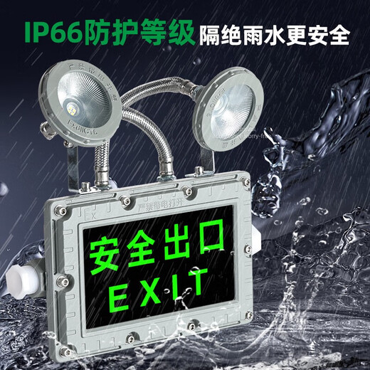 Yaming Lighting explosion-proof emergency light LED evacuation sign fire lighting gas station EX explosion-proof safety exit indicator light explosion-proof double-head emergency light-explosion-proof emergency light