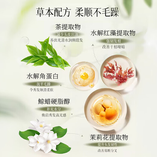 爱兰歌娜 茉莉白茶护发素干枯毛躁头发持久留香蓬松男女士润发护发乳1L