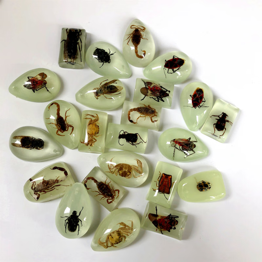 DL 1998 Valentine's Day gift for Fat Donglai, the same amber insect specimen pendant made of blind box resin glue ornaments, a small gold amber crab