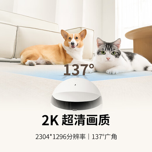 
enabot ROLA Mini Whole-house mobile surveillance camera Remote remote control wireless surveillance electronic gift boyfriend/husband ebo robot ROLA Mini [128G memory card]