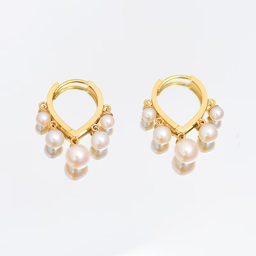Xuecong Korean Fashion 10K Gold Earrings Feminine Versatile Commuting Small Pearl Tassel Starry Gypsophila Color Gold Earrings Trendy Pair