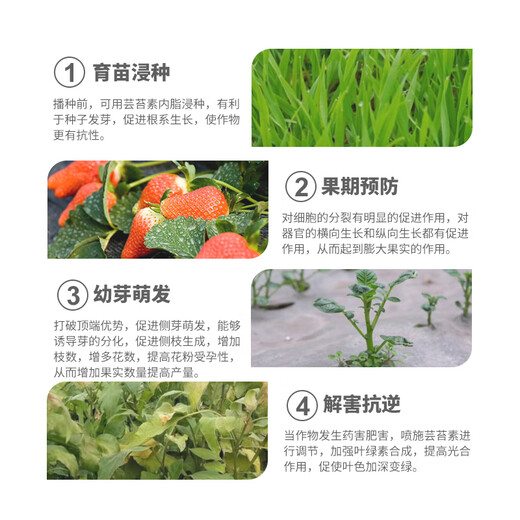 Bonsec 28 high 0.04% brassinolide growth regulator for fruit trees and vegetable fields that promotes growth, resists stress and resolves pesticide damage