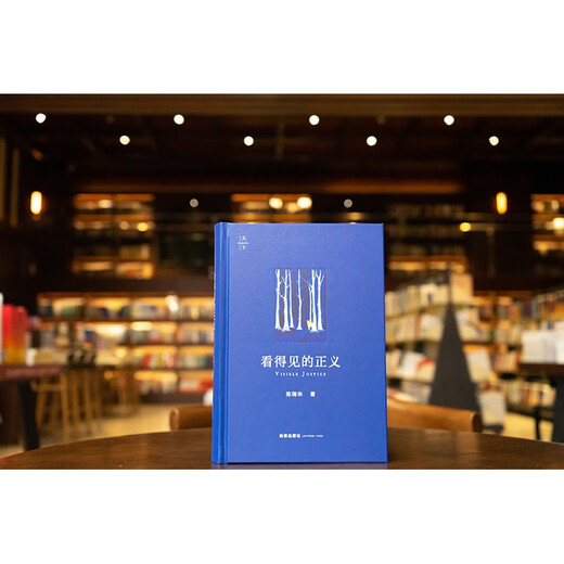 Visible justice