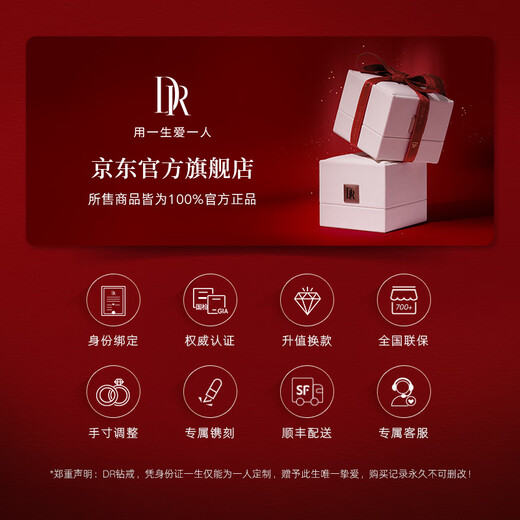 DR Spot First Snow Kiss Proposal Diamond Ring K Gold/Platinum BELIEVE Classic Style Wedding Ring Holiday Gift Spot Sparkling TOP*10 Points G Color VS2