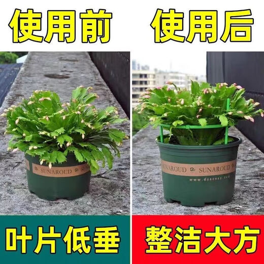 勤凯花架子室内家用支架通用型蟹爪兰花架莲花护叶架园艺盆栽支撑杆AS 【升级加粗+植物通用】 拍一发十【60根】到手十层