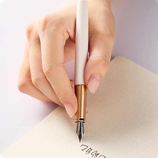 派克（PARKER）生日礼物钢笔墨水笔高端商务送礼定制刻字节日毕业礼物成人礼练字笔纪念品奖品文具金属笔热门商品 威雅月光白玫瑰金夹豪华墨水笔-单支