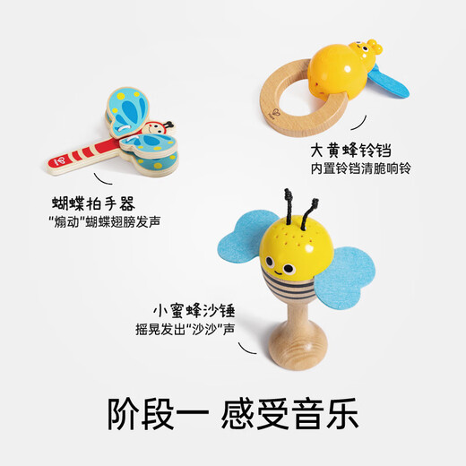 Hape德国儿童早教玩具音乐启蒙五合一自然交响乐套装宝宝礼物 五合一自然交响乐套装【E0639】