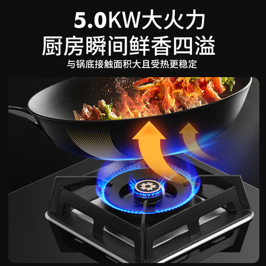 
Sakura (SAKURA) gas stove natural gas stove gas stove double stove hot stove embedded desktop ignition stove 5.0KW first-level energy efficiency large panel national subsidy 20% [Natural gas] B9209 multi-hole size large panel