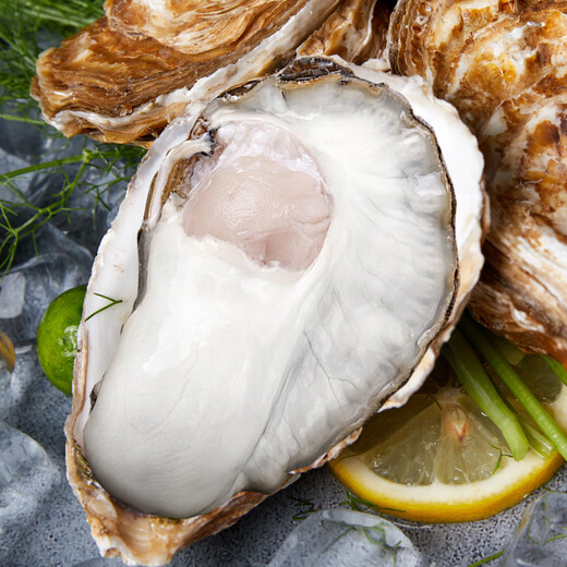 Fresh Jingcai Fresh Oysters 6XL Net weight 5Jin Jin is equal to 0.5kg 6-8 oysters Fresh to your home Fresh seafood Straight from the source