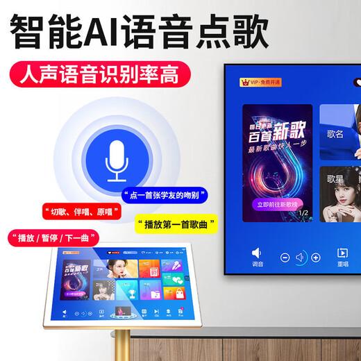 奇声家庭ktv音响套装点歌机卡拉ok点唱一体机家用家庭影院K歌会议室设备全套电视客厅音箱专业唱歌组合 震撼版+22寸点歌机+话筒+炮