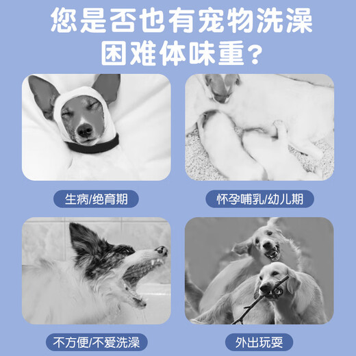 New pet wipes cleaning supplies disposable disposable gloves dog bathing gloves deodorizing cat ears, eyes and mouth new enlarged and thickened disposable gloves 5 packs 50 pieces