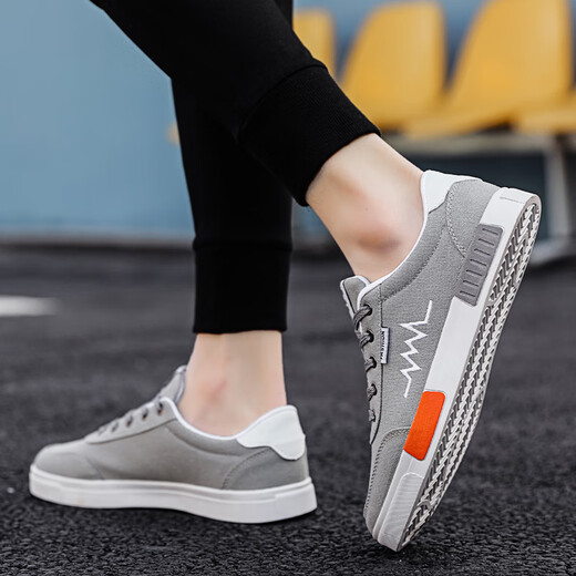 Chaussures Wang Zhibu (Wangzhibu) Chaussures en toile pour hommes masculins pour hommes.