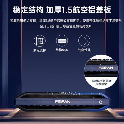 
FEIFAN 12-hole blues harmonica for adults and general scale professional musical instrument for beginners and elementary school students 12-hole E-flat starry sky F12