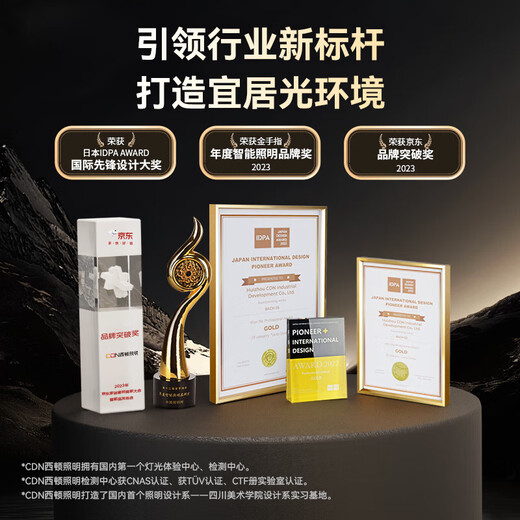 西顿照明（CDN）智能人体感应地脚灯老人楼梯壁灯LED防水小夜灯EQ11025黑色长条款