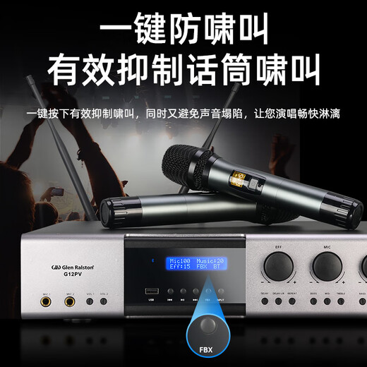 Glenston G12PV three-in-one with one-to-two wireless microphone pre-reverberator dual-channel high-power 600W power amplifier all-in-one anti-howling Bluetooth USB conference home ktv G12PV (with microphone integrated power amplifier)