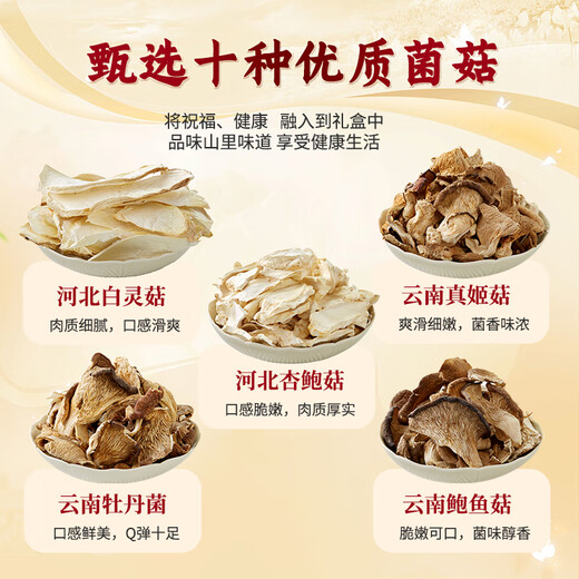 赵铁生菌菇礼盒干货牛肝菌鸡枞纯菌年货送长辈八种口味大礼包团购 山里味道【十味山珍】 1050g