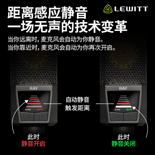 LEWITT RAY live broadcast large diaphragm condenser microphone computer mobile phone universal recording studio equipment anchor LEWITT RAY microphone single product large diaphragm audio equipment