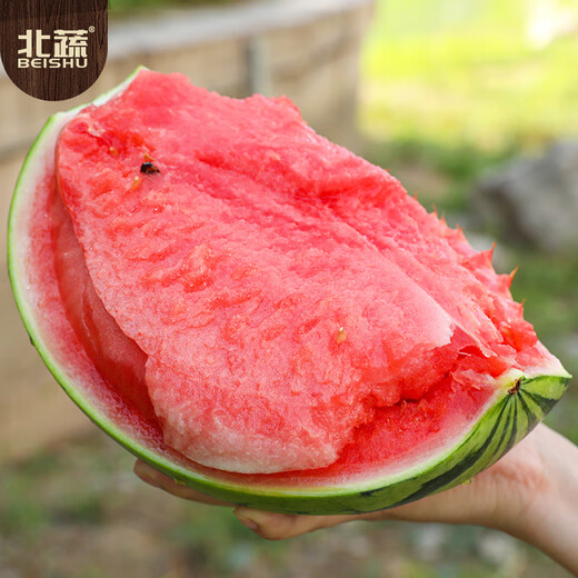 Beishu watermelon seed seedlings rock sugar unicorn 8424 potted watermelon seeds rock sugar unicorn melon seeds about 150 pieces