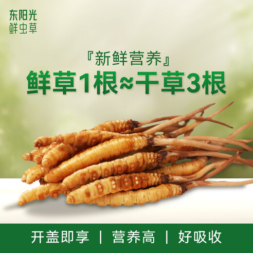 Dongyangguang Fresh Cordyceps подарочная коробка Cordyceps Высококачественный питательный подарок Cordyceps подарить подарок Cordyceps дарить пожилые родители [продукт первого класса] 0,4 ~ 0,6 г/корень 16 подарочные карты