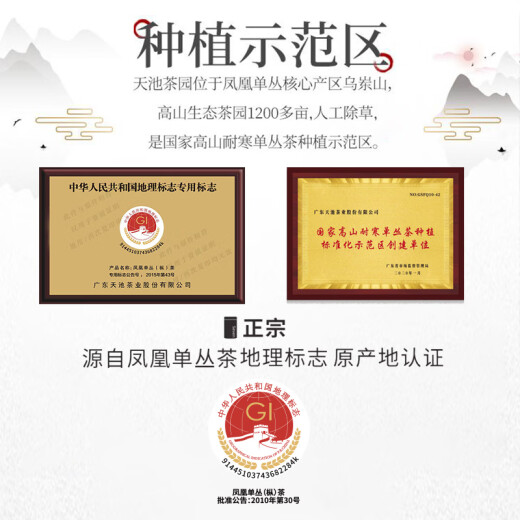 天池茶业凤凰单枞鸭屎香茶叶1392传承广东潮州凤凰单丛春茶125克 清香型 125g
