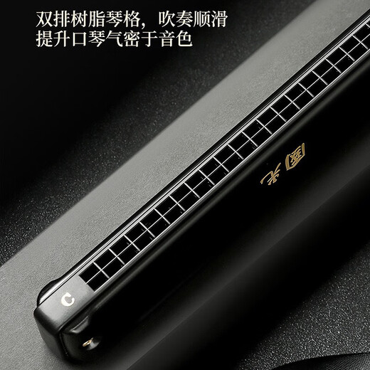 Guoguang Guo Dream Professional spielen harmonische 24-Loch-Polyphonische #A/B/C/D/E/F/G-Anpassung Adult High-End-Wettbewerb Harmonischer 24-Loch-#D (E-Floating) Polyphonischer Schwarz [Leistungsniveau]
