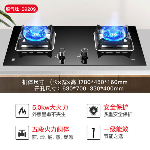 
Sakura (SAKURA) gas stove natural gas stove gas stove double stove hot stove embedded desktop ignition stove 5.0KW first-level energy efficiency large panel national subsidy 20% [Natural gas] B9209 multi-hole size large panel