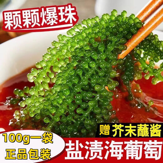 盐渍海葡萄泡发食用 儿童海藻菜海洋蔬菜海草 海葡萄100g*5袋【送芥末酱油】