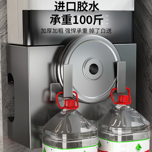 Shiqing German Gas Water Heater Cover Wall-hung Boiler Cover Ugly Natural Gas Pipe Shelf Kitchen Magnetic Hole Board Please contact customer service for door opening customization