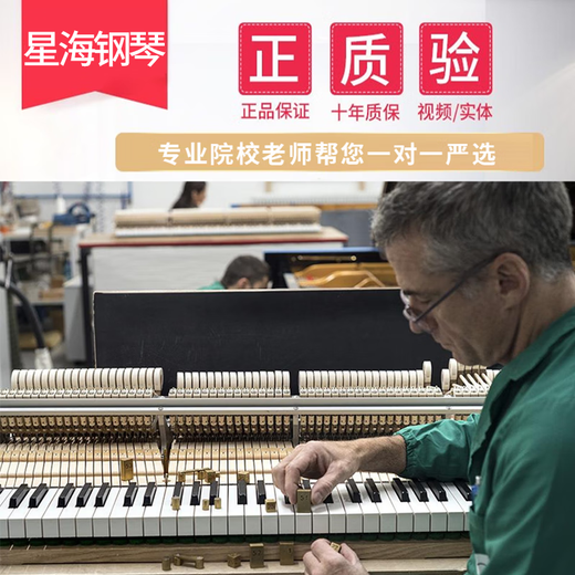 星海珠江海伦长江钢琴家用立式专业演奏考级星海钢琴118立式家用钢琴初学专业考级 星海钢琴（预约看琴）