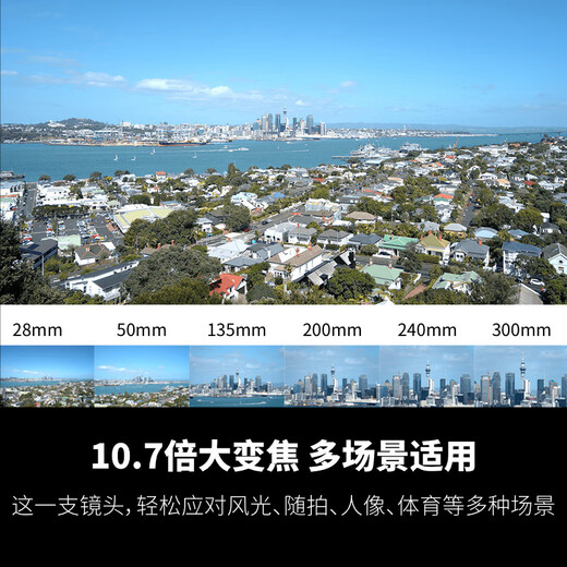 Tamron A074S 28-300mm F/4-7.1 Di III VC VXD anti-shake large zoom telephoto travel scenery full-frame mirrorless lens (Sony full-frame E-mount)