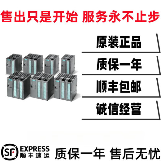 Siemens S7-300 power module 6ES7 307-1EA01/1KA02/1BA01/1EA00-0AA 6ES7307-1KA01-0AA0 (general ticket)