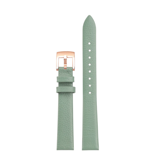 Youheng-Anpassungs-Armani-Frauen-Kaufhäuzungsgurt voller Sterne kleine quadratische Uhr AR11149 AR1681 1726 kleines grünes Gurt dunkelgrün-golden Schnalle Breite 14mm