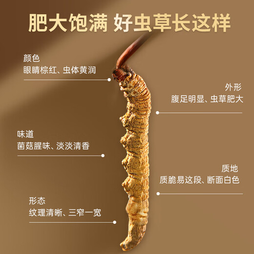 雷允上【官方】冬虫夏草 高端礼盒高档补品送人长辈父母礼盒 【虫草呈领，感恩有您】3.2根/g 30约96根