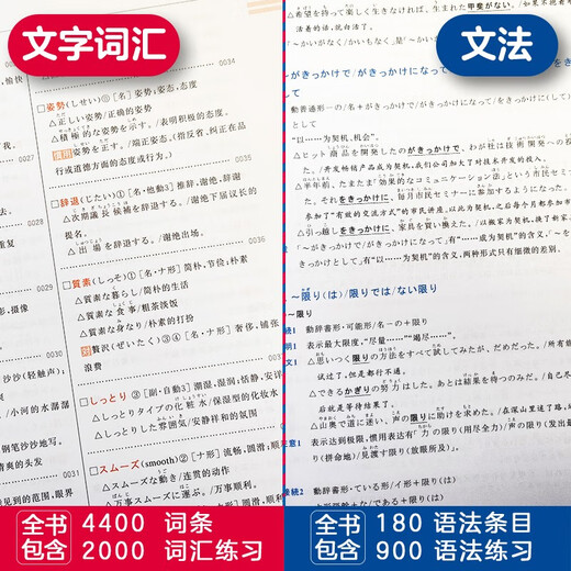 Japanese Red and Blue Book Series Red and Blue Book New Japanese Language Proficiency Test N2 Set Grammar and Grammar Text and Vocabulary (Detailed Explanation + Practice) (set of 2 volumes in total) Red and Blue Book Free Audio