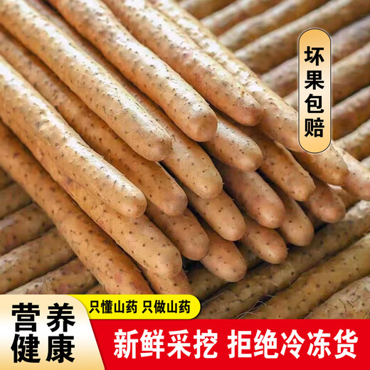 Authentic iron rod yam, Huaiyam yam, iron rod yam, Jiaozuo Wenxian pink glutinous sweet fresh yam, iron rod yam 5Jin Jin equal to 0.5kg, with box 60cm-80cm