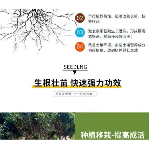 YWZR Phosphate Fertilizer Calcium Magnesium Phosphate Fertilizer Organic Silicon Flower Vegetable and Fruit Tree Adjustment Soil Compaction Anti-Crack Fruit Base Fertilizer General Fertilizer Organic Silicon Calcium Magnesium Phosphate Fertilizer 5Jin Jin equals 0.5 kg