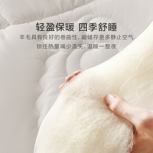 Luolai Home Textiles Infant Class A Cotton 100% Wool Quilt Australian Wool Antibacterial Winter Quilt Core 60 Count Cotton Class A Antibacterial Australian Imported Wool Quilt 200*230cm Thickened Winter Quilt