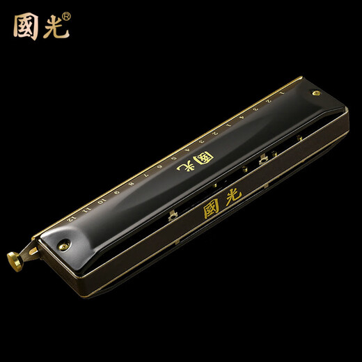 国光半音阶口琴12孔48音C调16孔高级专业演奏初学者成人儿童小学生 16孔 C调 国之梦磨砂黑（圆口标配）