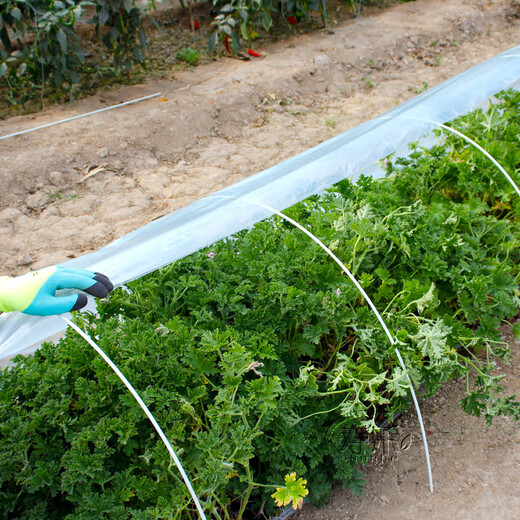 Shouhe vegetable shed plastic film and bracket mulch film agricultural vegetable shed shelf vegetable growing shed film (width 2m * length 5m) + 10 poles